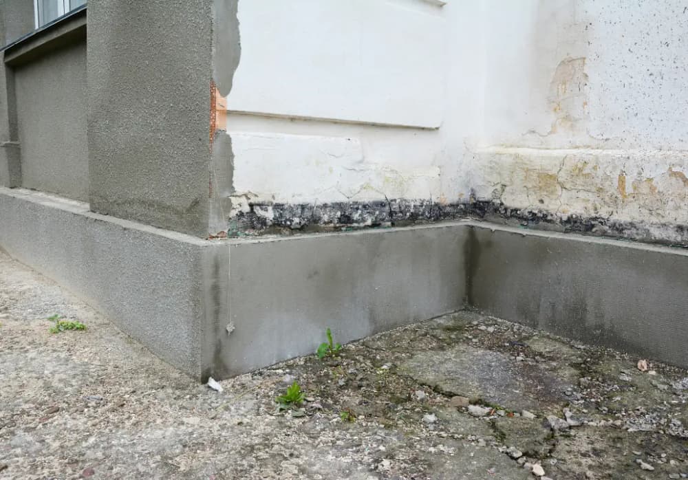 How to Find the Best Foundation Repair in San Antonio, TX