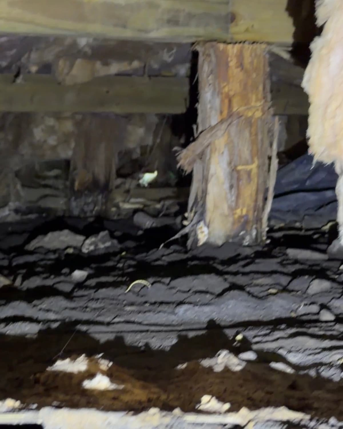 Severely rotted wood pier before replacement