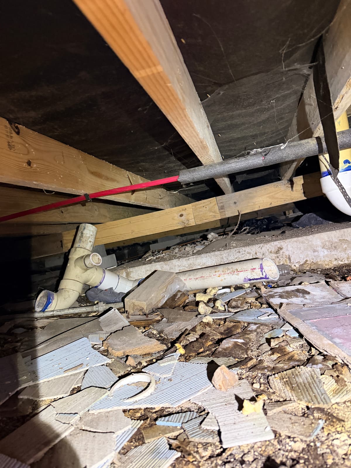Moisture and debris damage under a pier & beam foundation