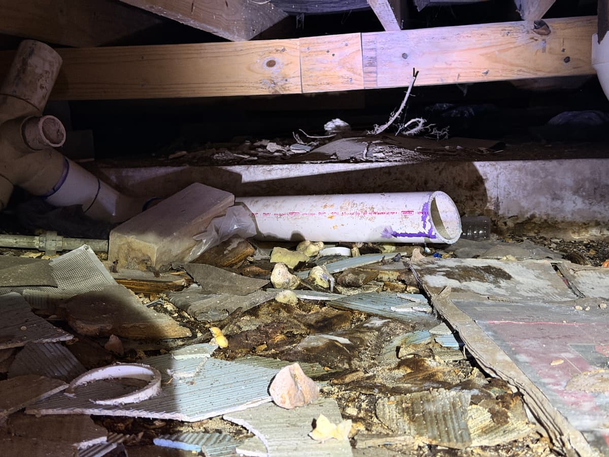 Water-damaged subfloor and insulation before repair