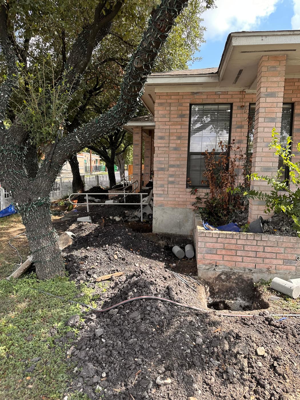 Foundation maintenance excavation near mature tree roots
