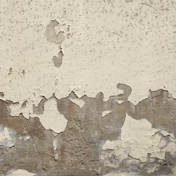 An image showing an exterior wall with signs of rotation or bulging in Austin.